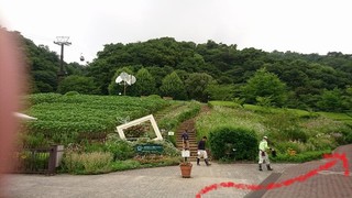 25.jpg