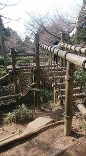 29512949_2080027055606648_9114910237301878331_n.jpg