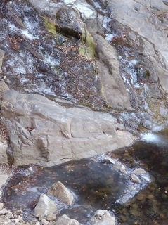 DSC_0294.JPG