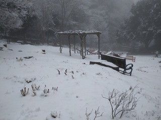 DSC_0306 (1).JPG
