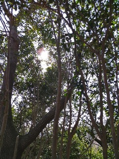 DSC_0360.JPG