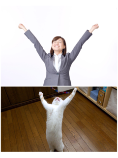 .png